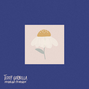 面板搜索小鲤导航
