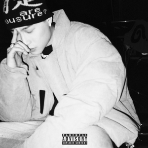 面板搜索小鲤导航
