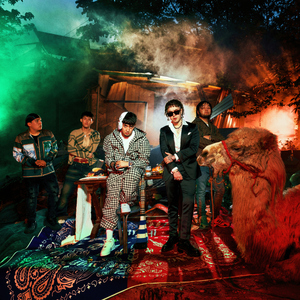 面板搜索小鲤导航
