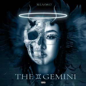 面板搜索小鲤导航
