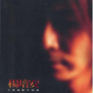 面板搜索小鲤导航
