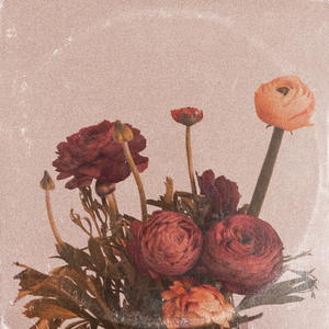 面板搜索小鲤导航
